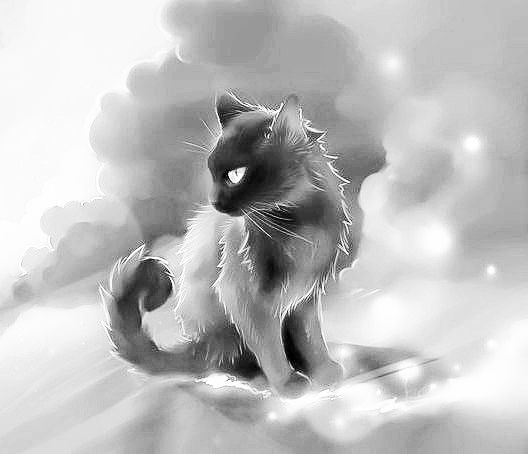 Алексей Котельников