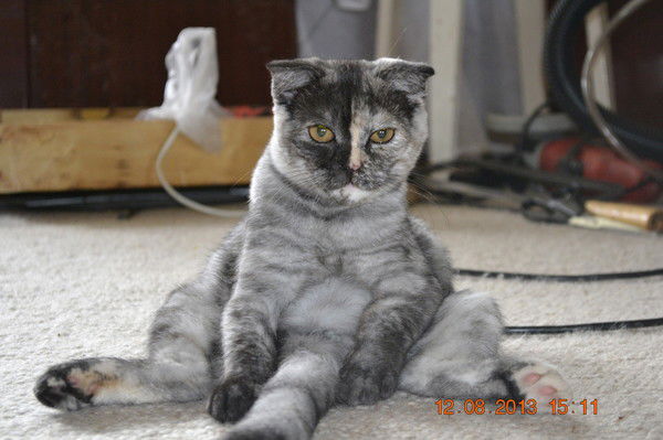 Светлана Шляпникова