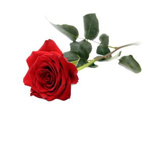 Галина Шулер