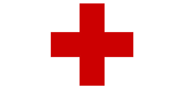 Светлана Лихтенштейн