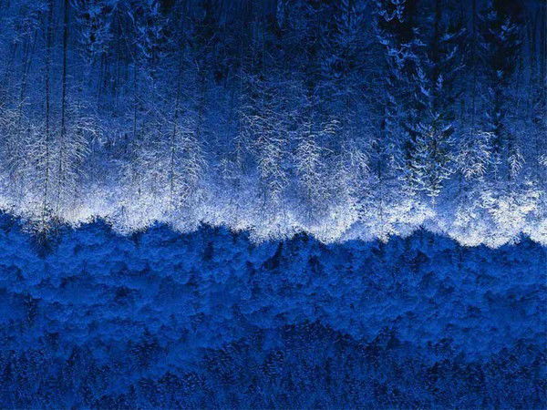 Гульнара Мустафина