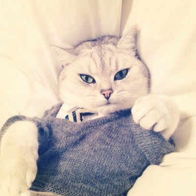 Снежа Михина