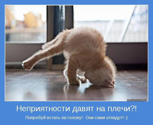 Александр Мартынов