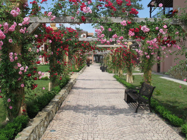 Екатерина Кобзарь