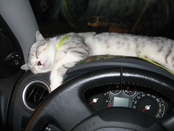 Татьяна Ким