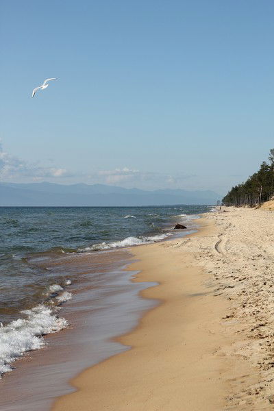 Лариса Воронцова