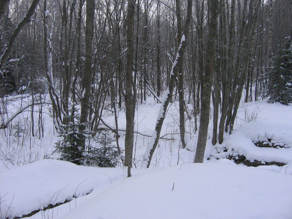 Андрей Кириллов