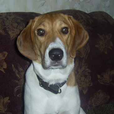 Александр Крамаренко