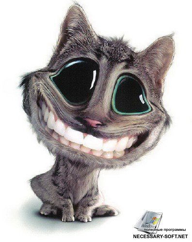 Хакер И Что?