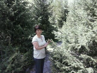 Кульжазира Испулова