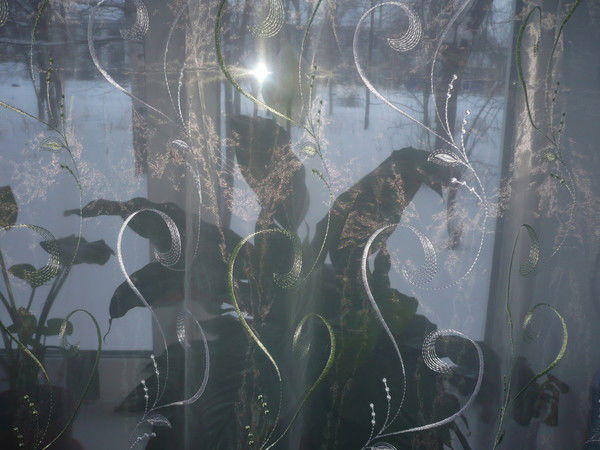 Виктор Грачев