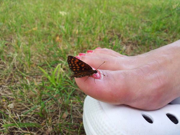 Вильма Стравинскайте