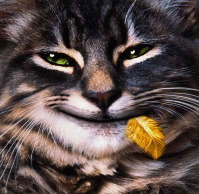 Олег Потылицын