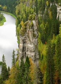 Виолетта Петроченко