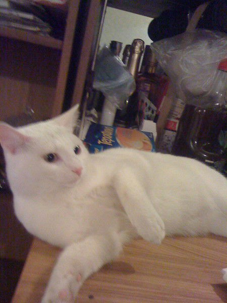 Лиза Касаткина