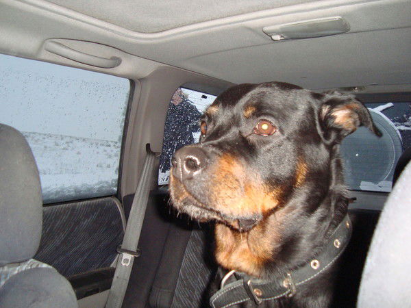 Марина Иванова