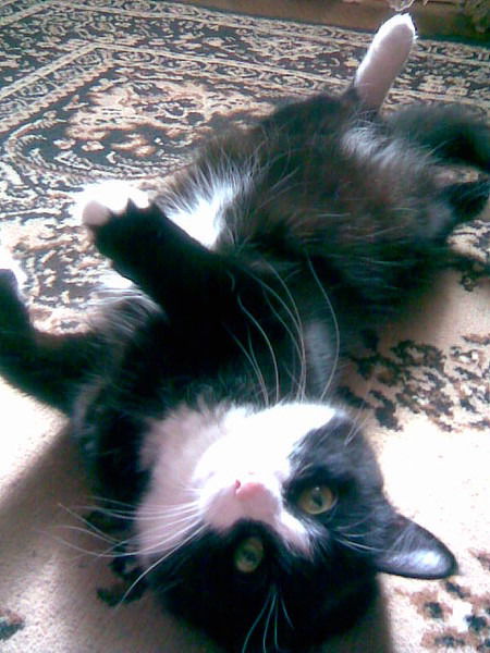 Саша Андриянов