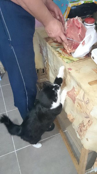 Александр Кругляк