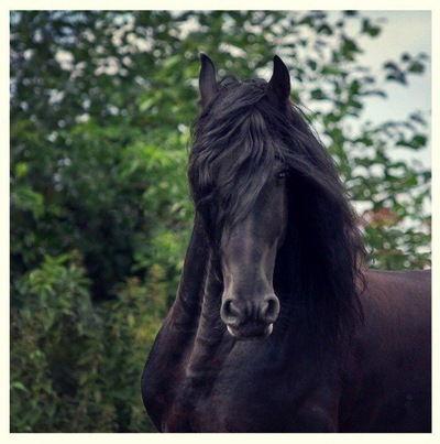 Ольга Бредихина