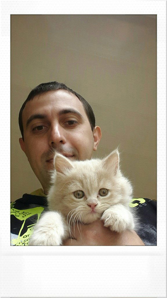 Александр Платошкин