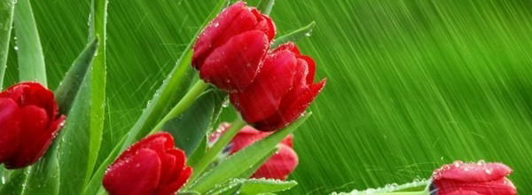 Айгуль Торыбаева