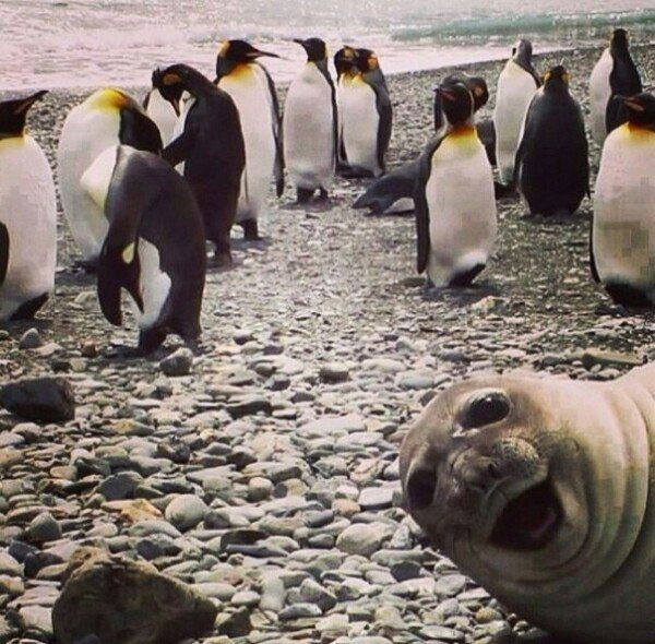 Виктория Фролова