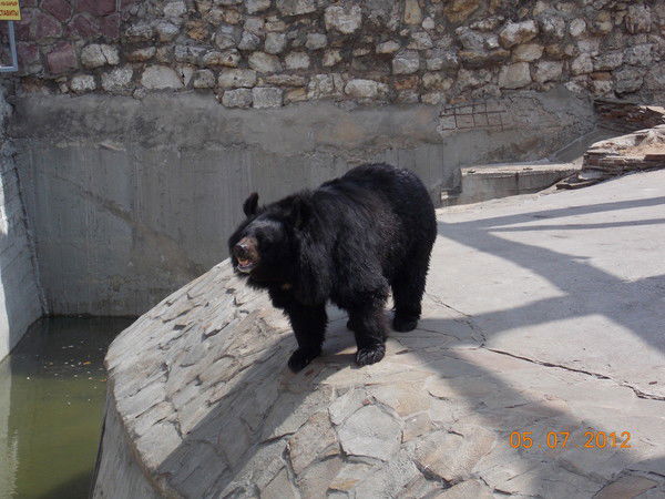 Анастасия Алексеева