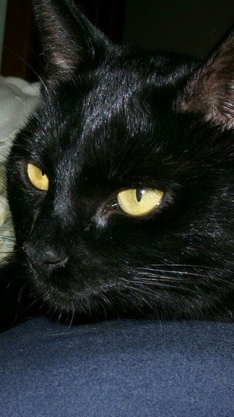 Юлия Усманова