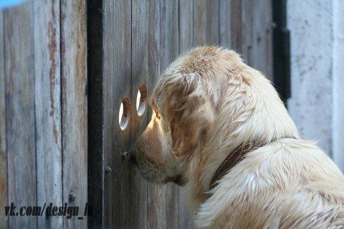 Ирина Тихонова