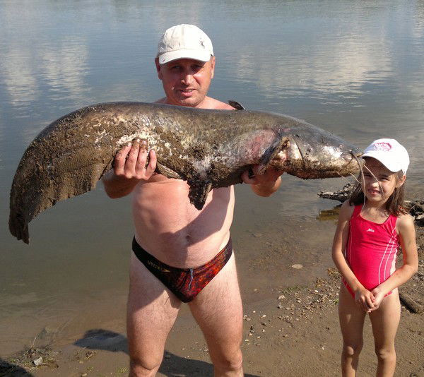 Неизвестно Неизвестно