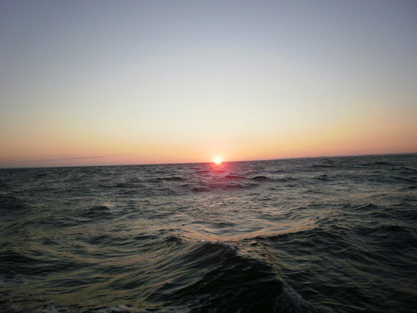 Александр Марченко