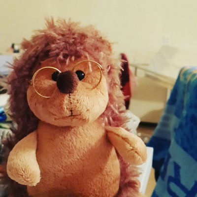 Екатерина Орлова