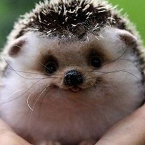 Александр Исаков