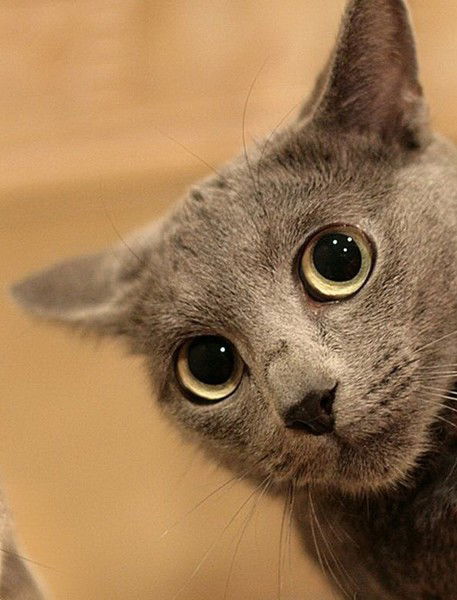 Евгений Иванов