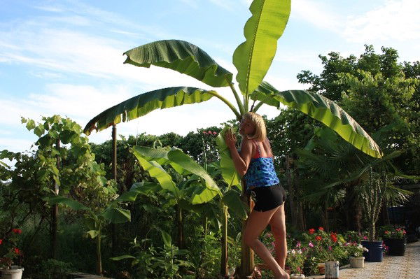 Татьяна Дмитриева