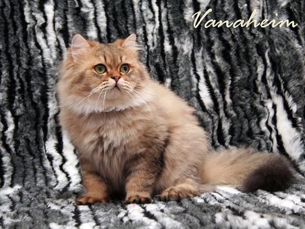 Александра Александра