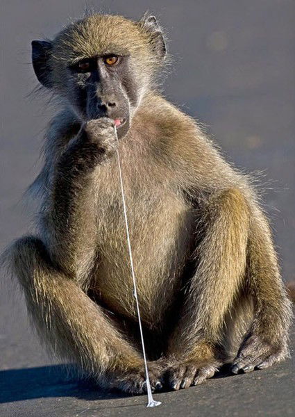 Мгер Багдасаров