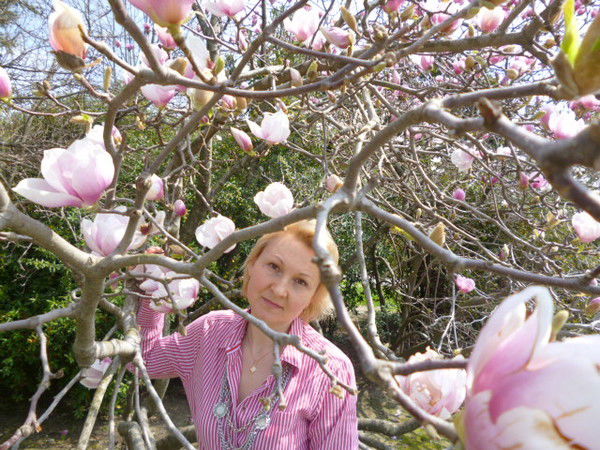 Жанетта Мерк