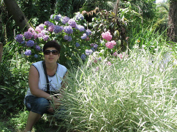 Светлана Солодовникова