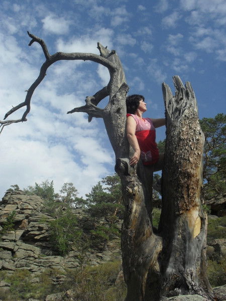 Наталья Ильина