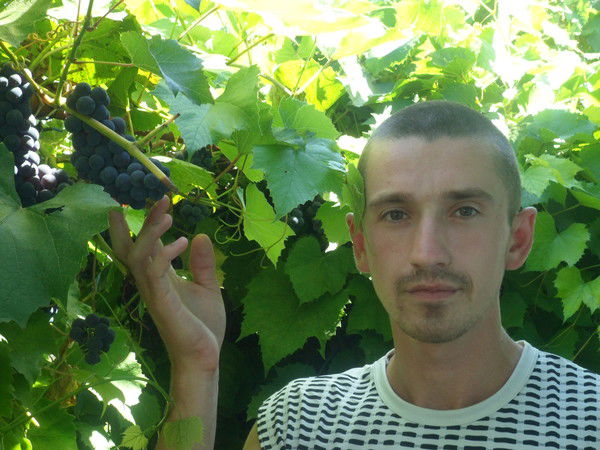 Александр Осипов