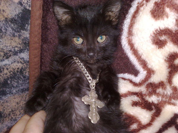 Анатолий Балаев