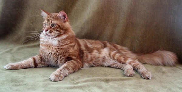 Евгения Сахарчук