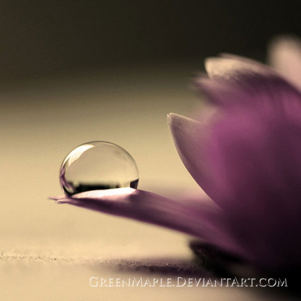 Фатима Рамазанова