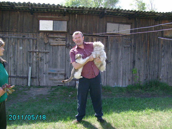 Александр Кухаренко