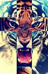 Дима Лукьянов