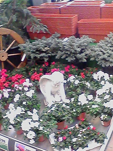 Айдар Самиков