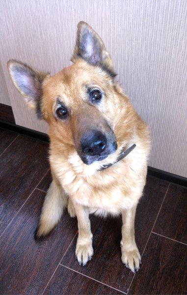 Рафаиль Миннапов