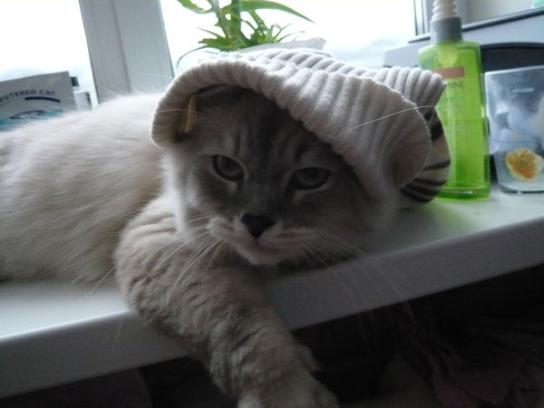 Максим Рожков