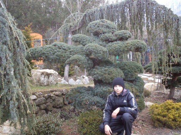 Влад Андреев